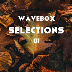 Wavebox Selections, Vol. 1