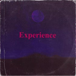 Experience