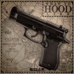 What Yo Hood Like (feat. Bris & Riddiculuss)