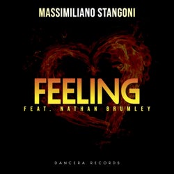 Feeling (feat. Nathan Brumley)
