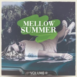 Mellow Summer, Vol. 2 (Just The Finest In Progressive House & Electro House Music)