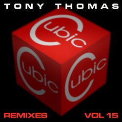 T T Remixes Vol. 15