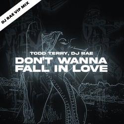 Don't Wanna Fall In Love (DJ Rae VIP Mix)