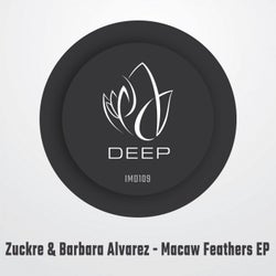 Macaw Feathers EP