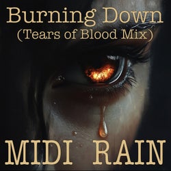 Burning Down (Tears of Blood Mix)