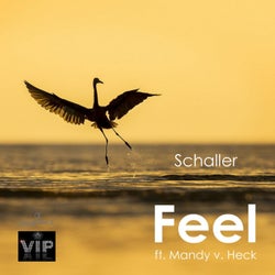 Feel (ft. Mandy V. Heck) - Single