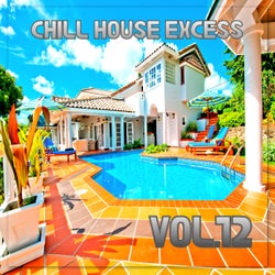 Chill House Excess, Vol.12 (BEST SELECTION OF LOUNGE AND CHILL HOUSE TRACKS)