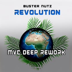Revolution (MVC Deep Rework)