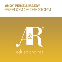 Freedom of The Storm