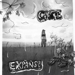 Expanse