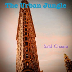 The Urban Jungle