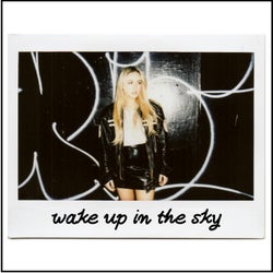 Wake up in the Sky