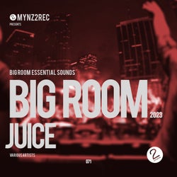 Big Room Juice 2023 (Big Room Essential Sounds)