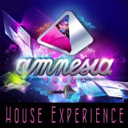 AMNESIA - House Experience