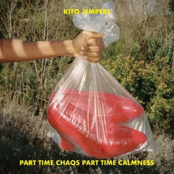 Part Time Chaos Part Time Calmness