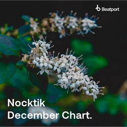 Nocktik December Chart