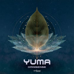 Omnisense