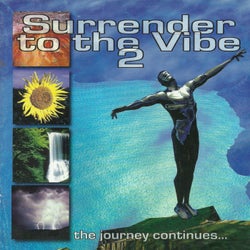 Surrender to the Vibe 2