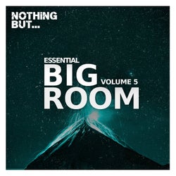 Nothing But... Essential Big Room, Vol. 05