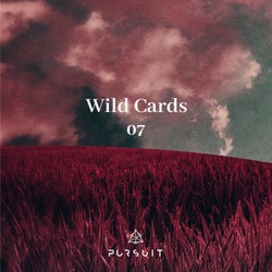 Wild Cards 07