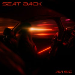 Seat Back