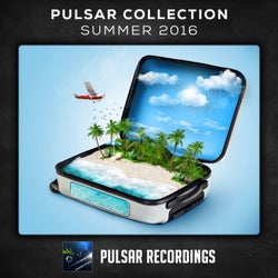 Pulsar Collection: Summer 2016