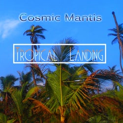 Tropical Landing