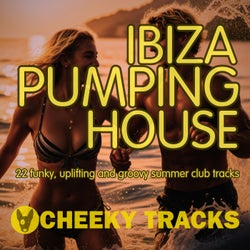Ibiza Pumping House
