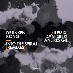 INTO THE SPIRAL REMIXES