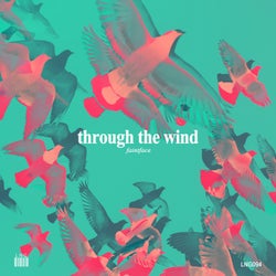 Through the Wind