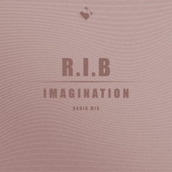 Imagination (Radio Mix)