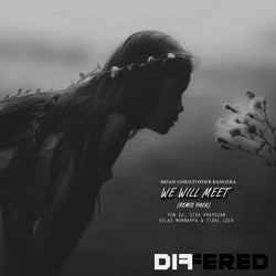 We Will Meet (Remix Pack)