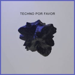 Techno Por Favor