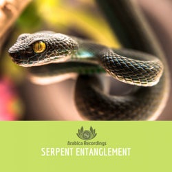 Serpent Entanglement