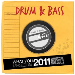 What You Missed 2011 - Drum & Bass