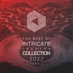 The Best of Intricate 2022 Collection, Pt. 2