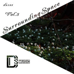 Surrounding Space, Vol. 3