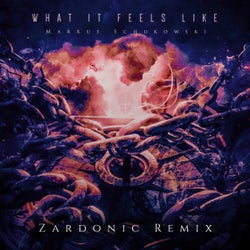 What It Feels Like (Zardonic Remix)