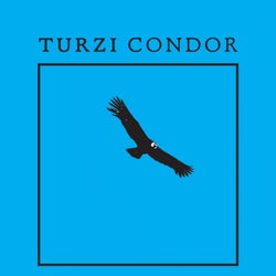 Condor - EP