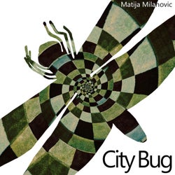 City Bug