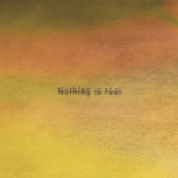 Nothing Is Real