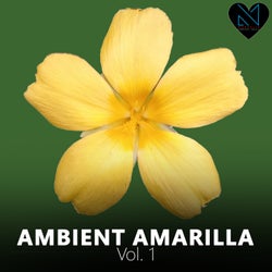 Ambient Amarilla, Vol. 1