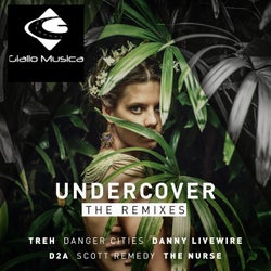 Undercover: The Remixes