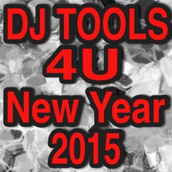 New Years Eve Tool 2014 to 2015