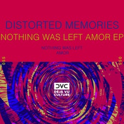 Nothing Was Left Amor