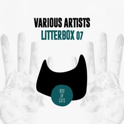 Litterbox 07