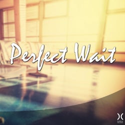 Perfect Wait