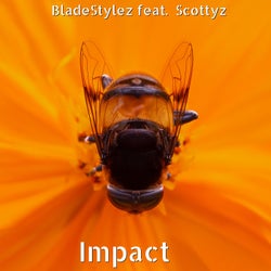 Impact (feat. Scottyz)