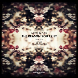 The Reason You Exist