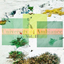 University of Ambiance, Vol. 2.5
